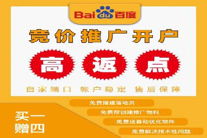 百度推广成功案例分析